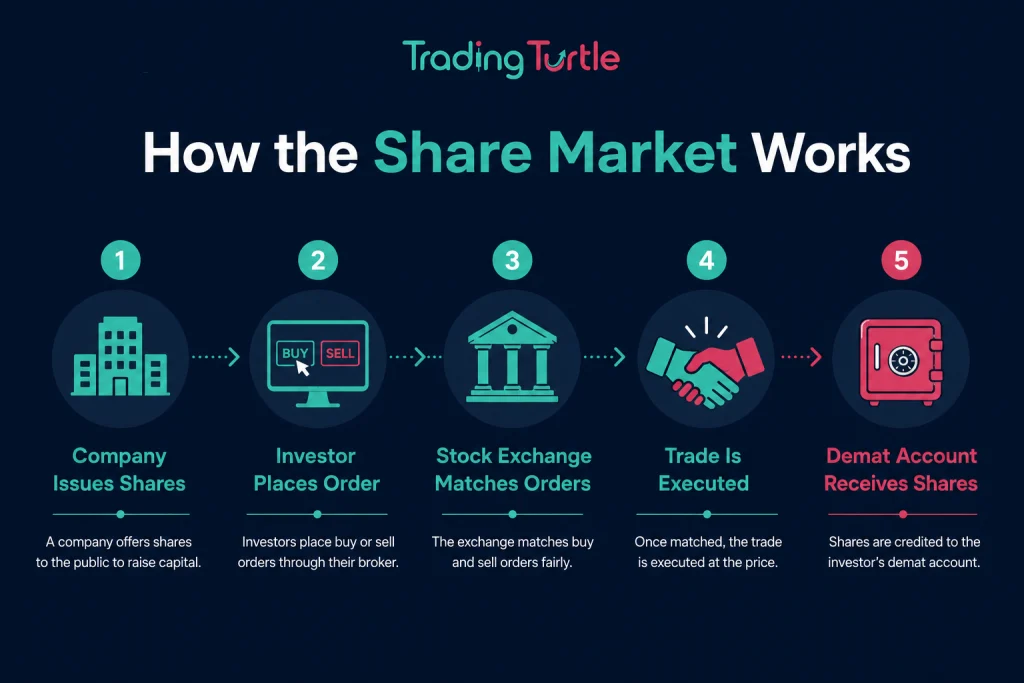 visual explaining how the share market works