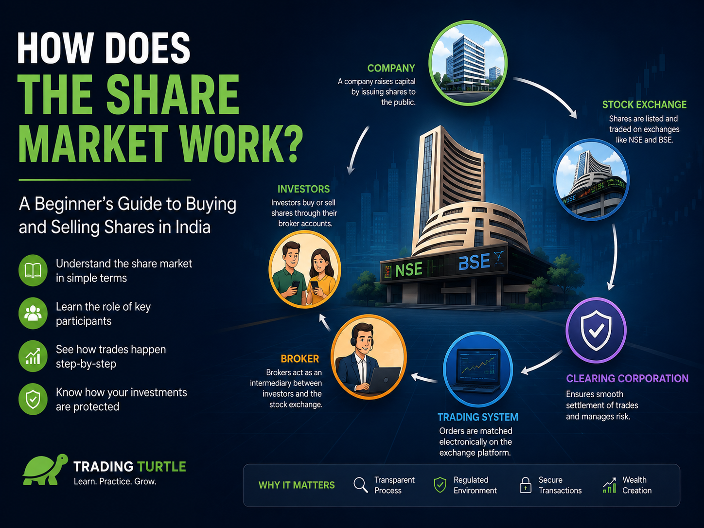 illustration explaining how does the share market work