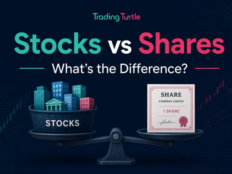 Illustration comparing stocks and shares for beginners